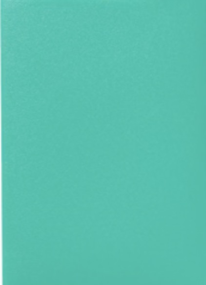 Dragon Game Plus Rough Texture Matte Shield Sleeves *Teal