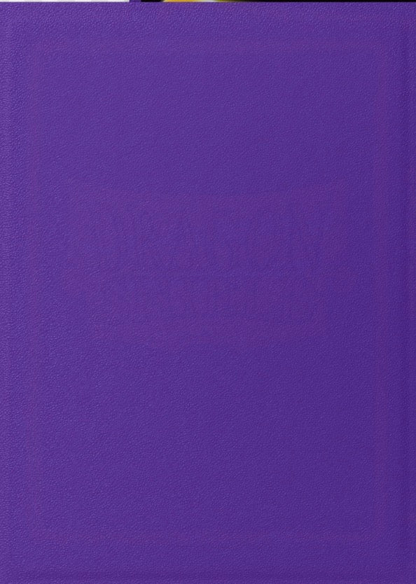 Dragon Game Plus Rough Texture Matte Shield Sleeves *Purple