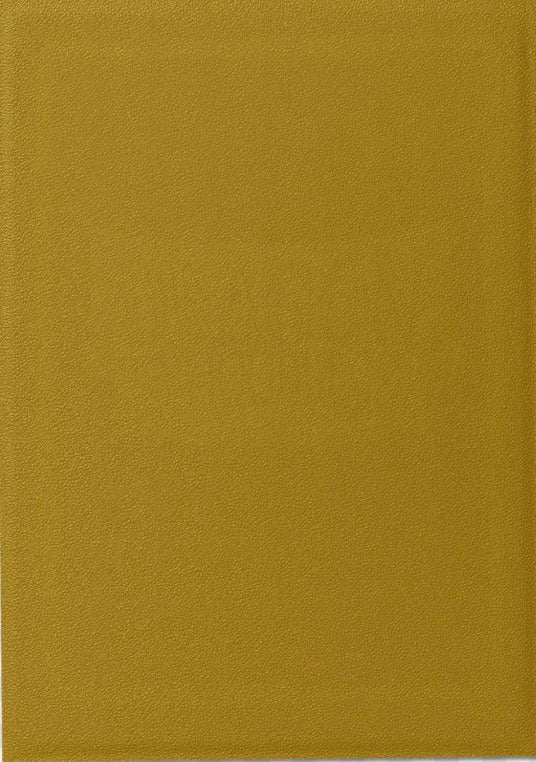 Dragon Game Plus Rough Texture Matte Shield Sleeves *Gold