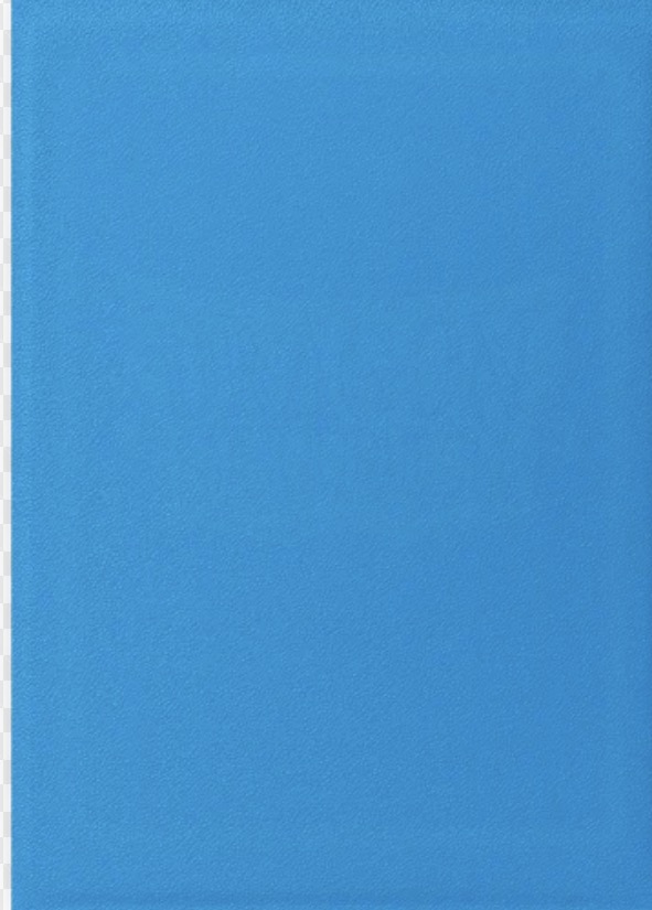 Dragon Game Plus Rough Texture Matte Shield Sleeves *sky Blue