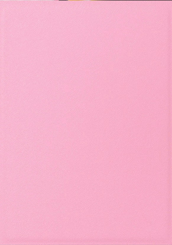 Dragon Game Plus Rough Texture Matte Shield Sleeves *Sakura Pink