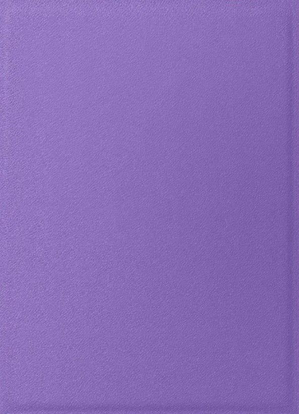 Dragon Game Plus Rough Texture Matte Shield Sleeves *Lilac