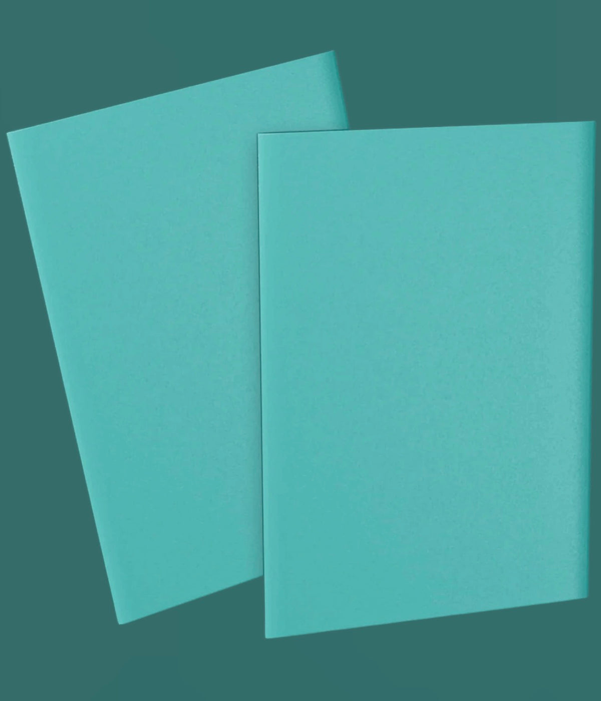 Dragon Matte Card Sleeves Basic *Teal