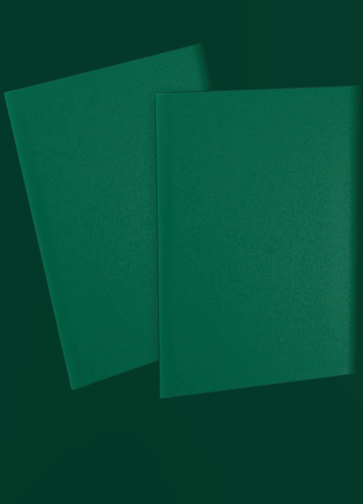 Dragon Matte Card Sleeves Basic *Green