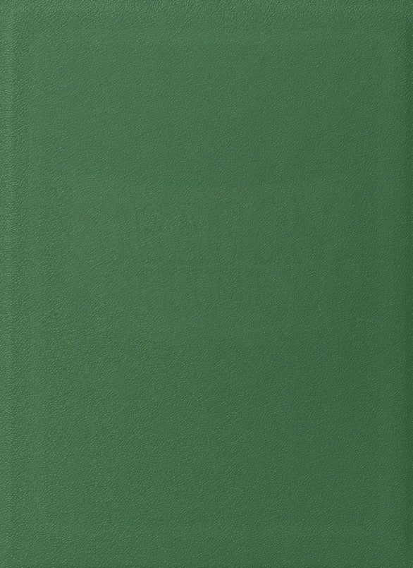 Dragon Game Plus Rough Texture Matte Shield Sleeves *Green