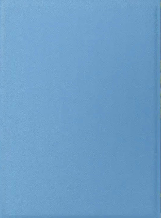 Dragon Game Plus Rough Texture Matte Shield Sleeves *lake Blue