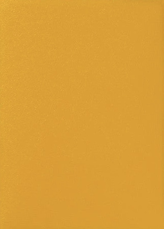 Dragon Game Plus Rough Texture Matte Shield Sleeves *Mustard