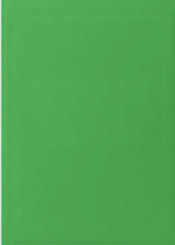 Dragon Game Plus Rough Texture Matte Shield Sleeves *Apple